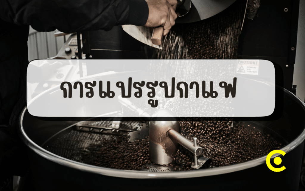 การแปรรูปกาแฟ